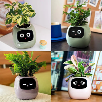 2024 Smart Ivy Planter with AI Technology - Featured Mart