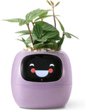 2024 Smart Ivy Planter with AI Technology Featured Mart