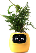 2024 Smart Ivy Planter with AI Technology Featured Mart