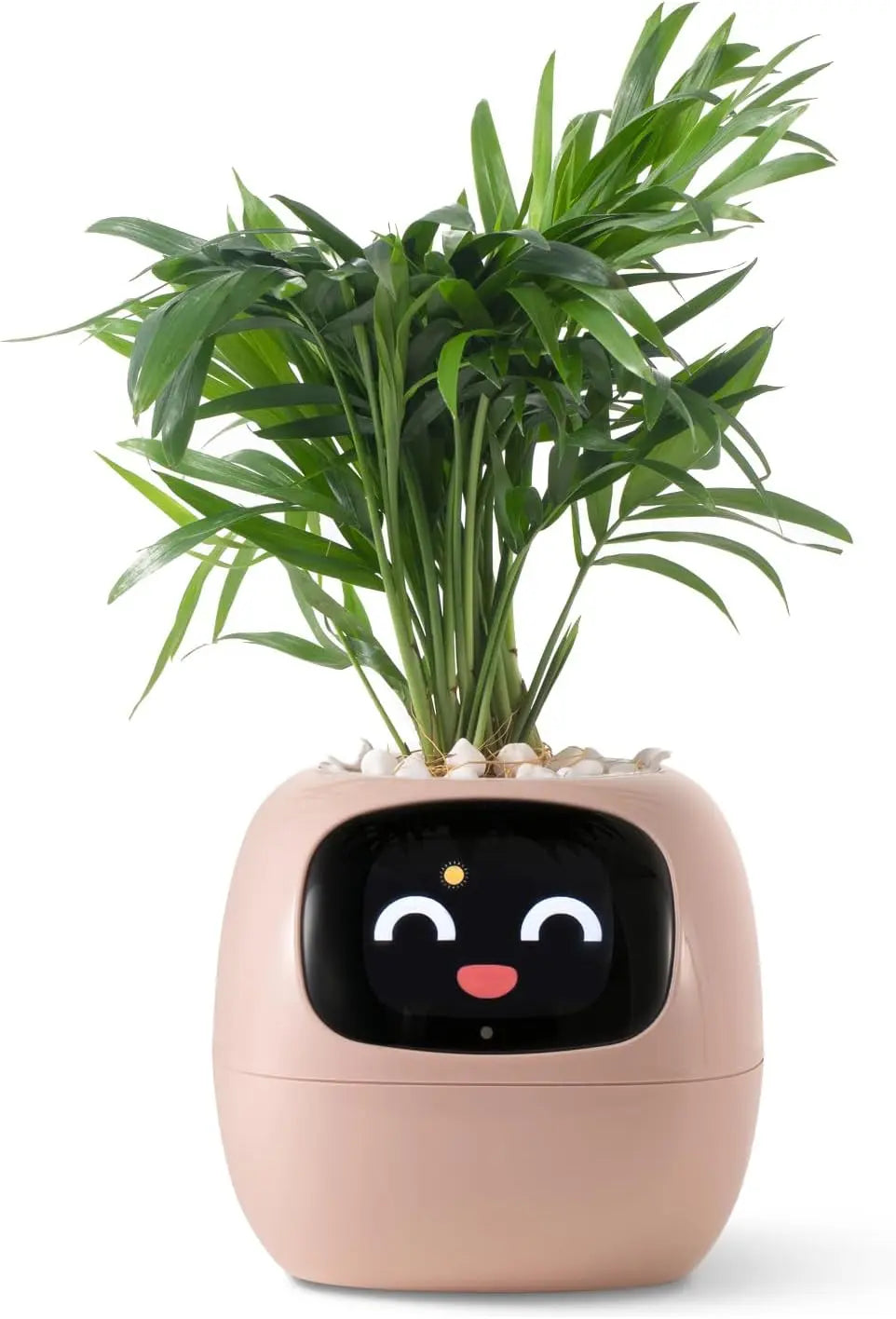 2024 Smart Ivy Planter with AI Technology Featured Mart