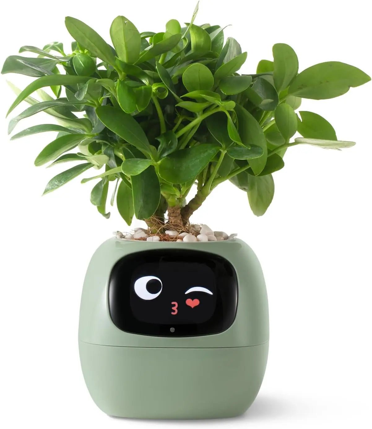 2024 Smart Ivy Planter with AI Technology - Featured Mart