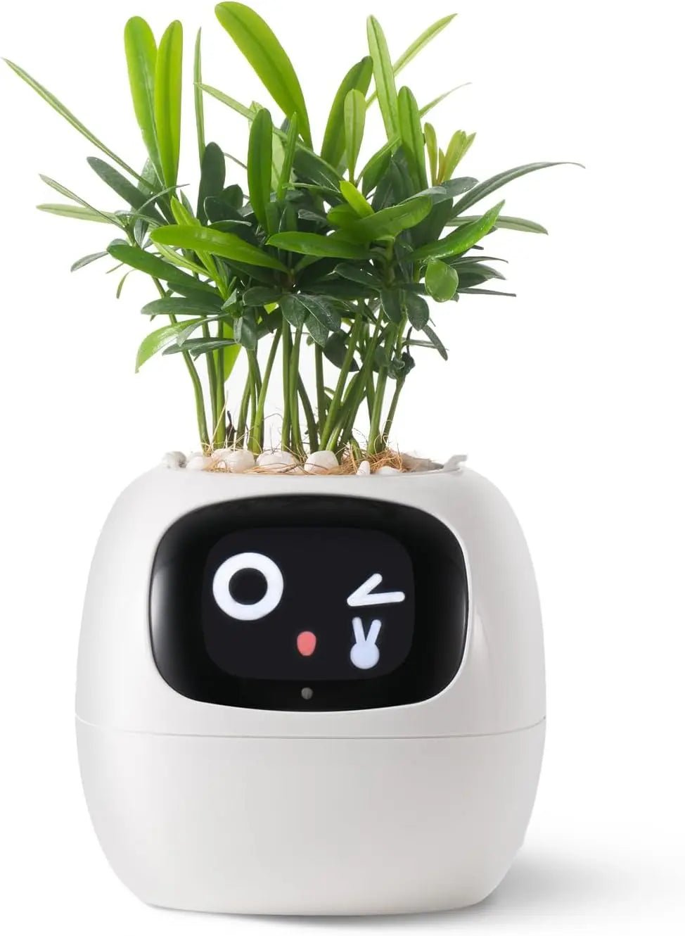 2024 Smart Ivy Planter with AI Technology - Featured Mart