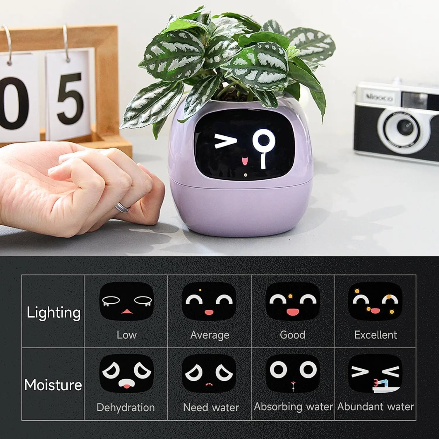 2024 Smart Ivy Planter with AI Technology - Featured Mart