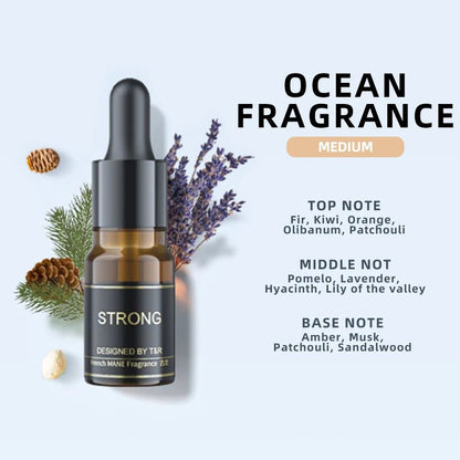 Car Air Freshener Aromatherapy– Floral, Ocean & Cologne Scents - Featured Mart