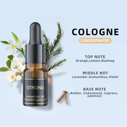 Car Air Freshener Aromatherapy– Floral, Ocean & Cologne Scents - Featured Mart