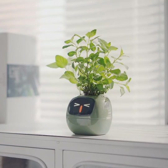 2024 Smart Ivy Planter with AI Technology
