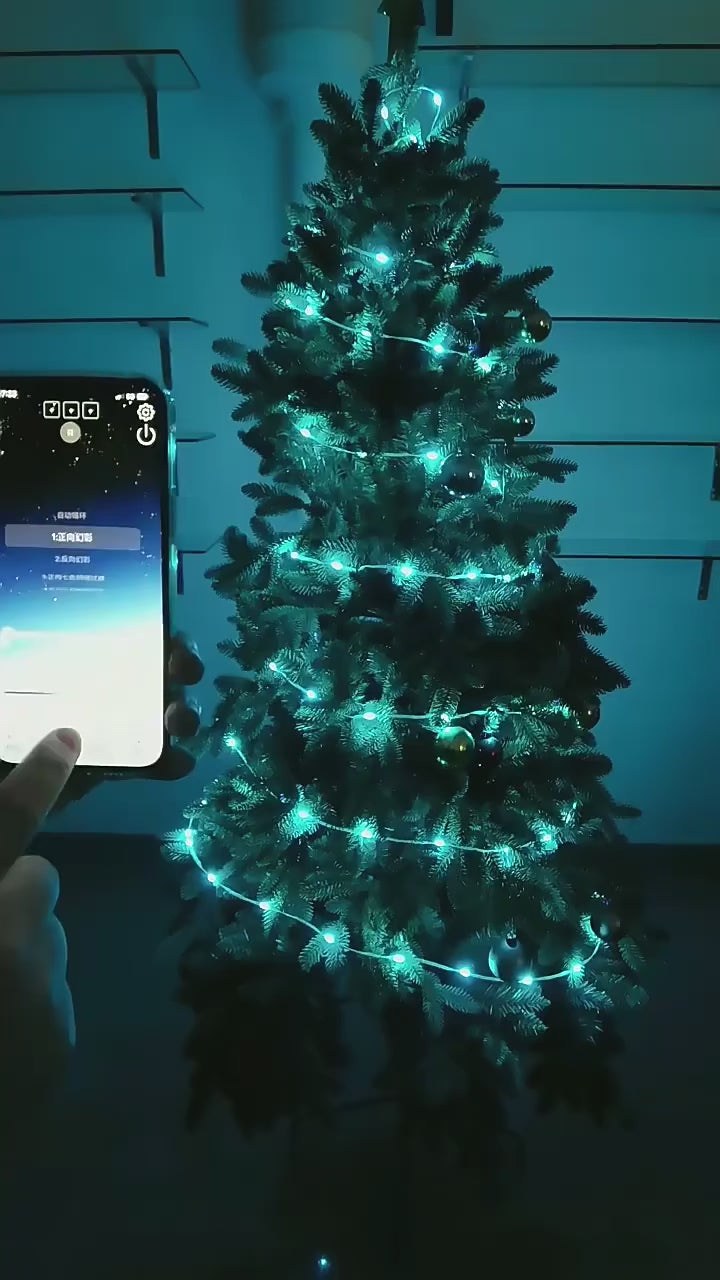 Smart App Control Christmas Tree String Light